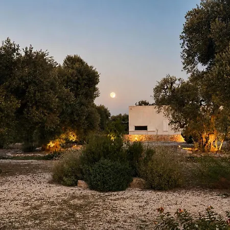 Waca - Apulian Monopoli